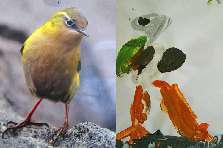 This is a series of artwork showing the artists development over time - she is very talented!!! Jordan art a